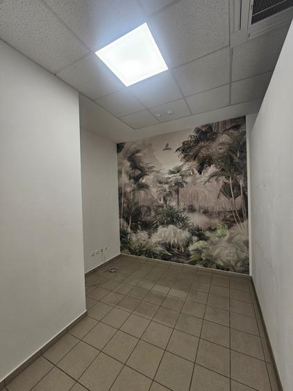 Spatiu Centru-Stefan cel Mare - 12