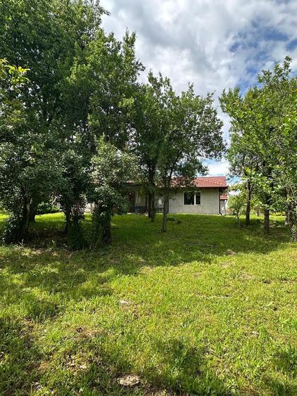 Casa Pensiune in Viile Satu Mare teren 1,63 ha, 11 camere, 10 bai - 1