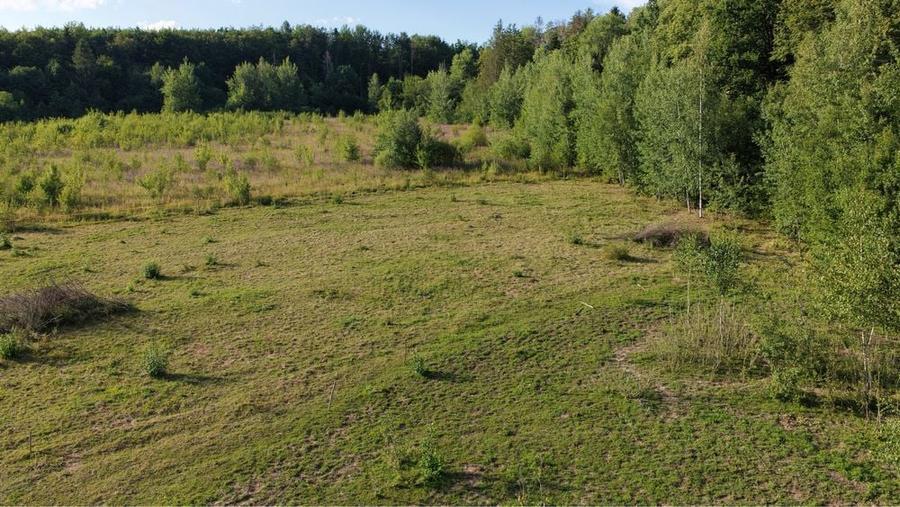 Vand teren hardic - 4