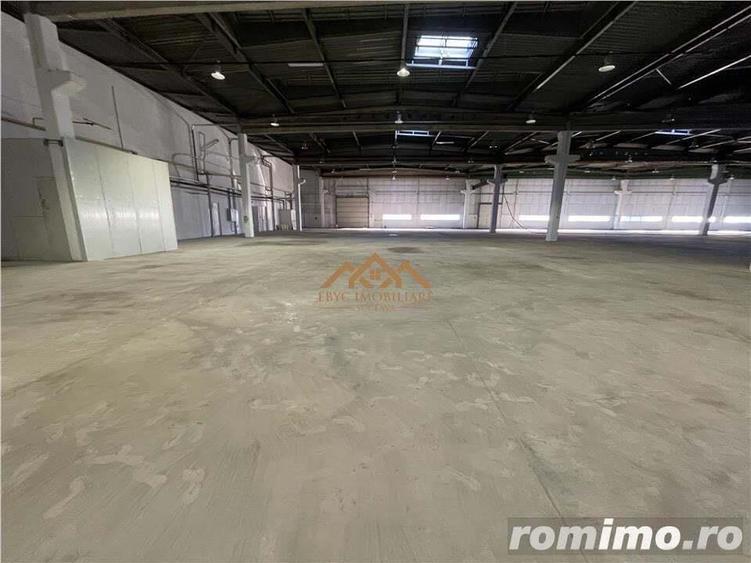 De inchiriat | Hala industriala | Depozitare - Productie - 6