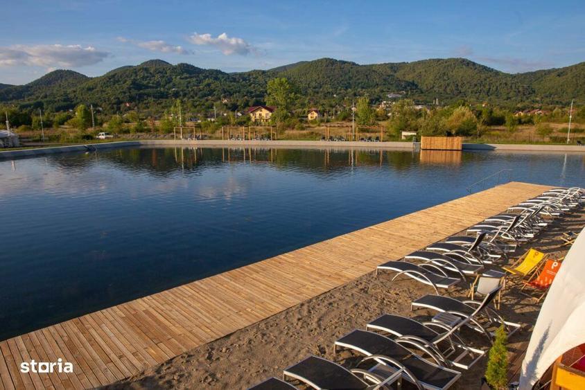 Teren intravilan 40.100mp, infrastructura complexa, Busag - 4