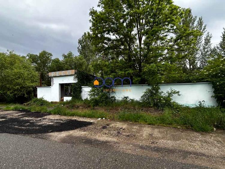 Teren industrial sau comercial 3000 mp Zagujeni - 1