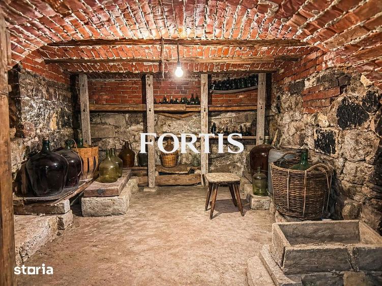 Casa de vanzare in Fagaras, zona 13 Decembrie 0% COMISION - 3