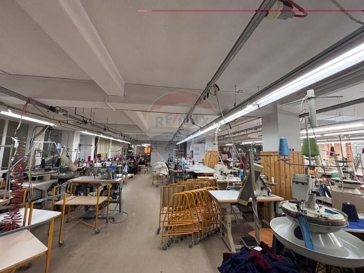 Spatiu industrial/ depozit/birouri de inchiriat in zona Turnisor - 5