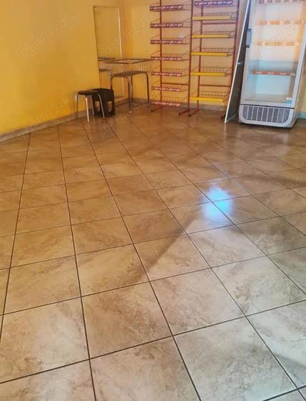 Casa si Teren de vanzare in Biharia - 3