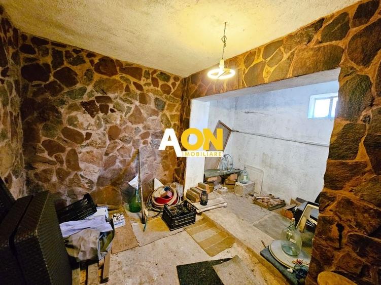 Casa 5 camere, 869 mp teren, zona Gara - 22