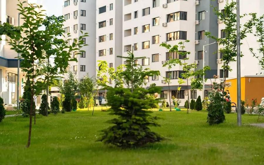 Ivory Residence Pipera 1 camera + boxa inclusa pen... - 2