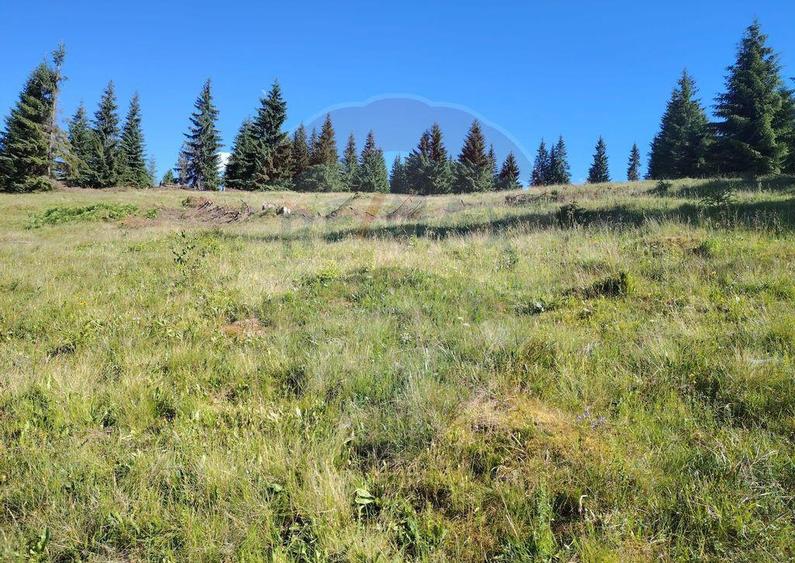 Teren 24,581mp Panaci / Strada Mihaile? - 9