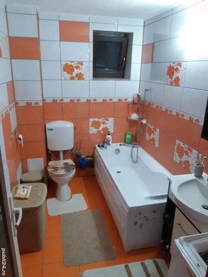 Casa 250 mp , 17 ari teren Satu Nou de Jos - 3