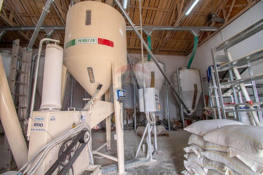 Ferma moderna de porci de vanzare in Curtuiusu Dejului - 13