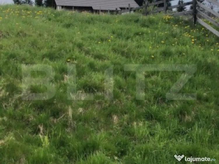 Teren intravilan de 3,8 H de vanzare, Piatra Fantanele - 2