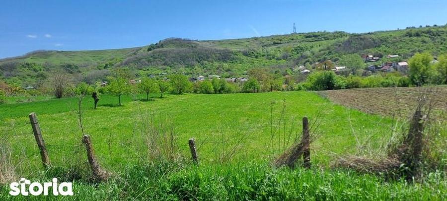 Teren intravilan Stefanesti-Otelesti - 2