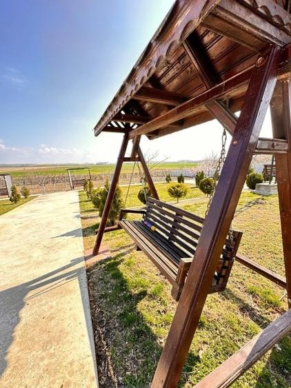 Domeniul de langa Fetesti, Maltezi, ideal pentru evenimente - 14