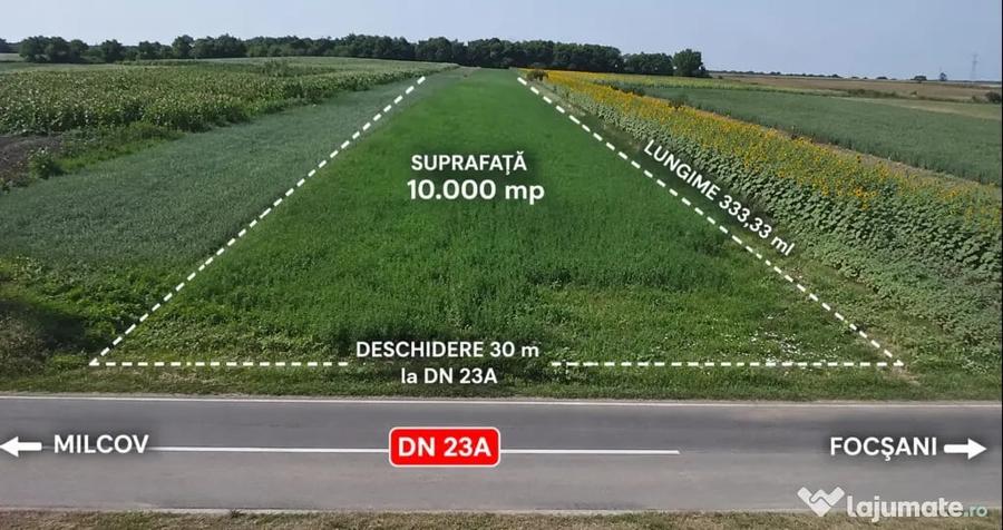 Teren de 10000 mp, în Lămotești