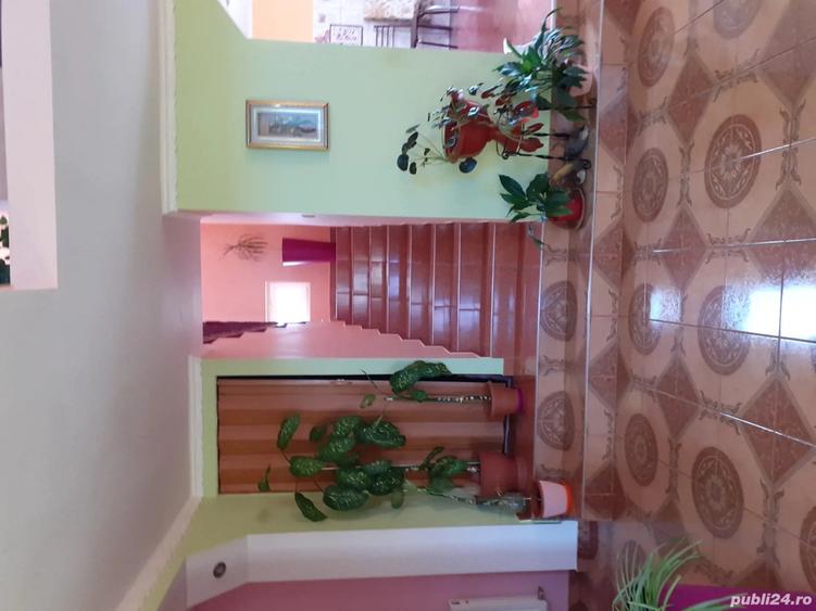 Vind casa in Daia - 3