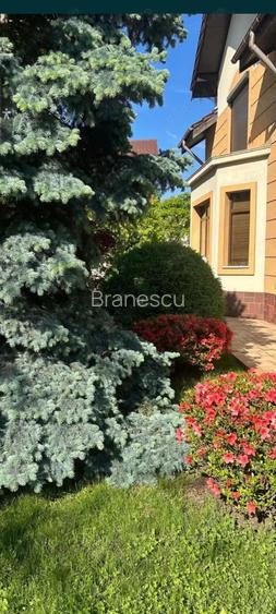 Vand vila strada Trivale, Pitesti, Arges Vand vila strada Trivale, Pitesti, Arges