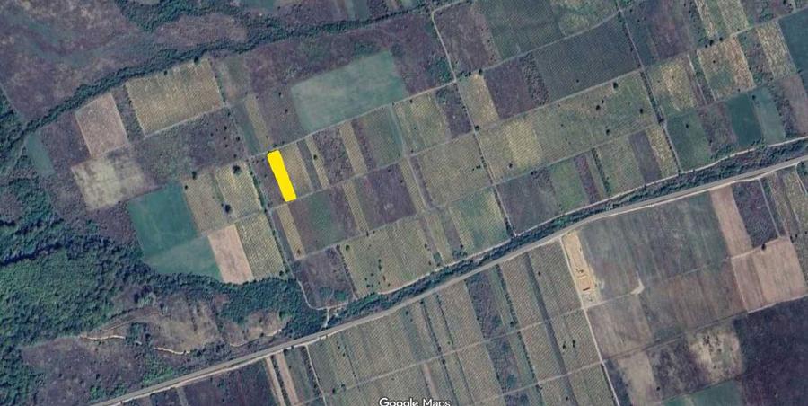 Vand 4 tertenuri situate in extravilan in Comuna bolotesti jud Vrancea - 5