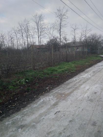 Teren sat Rasa;com Gradistea - 2