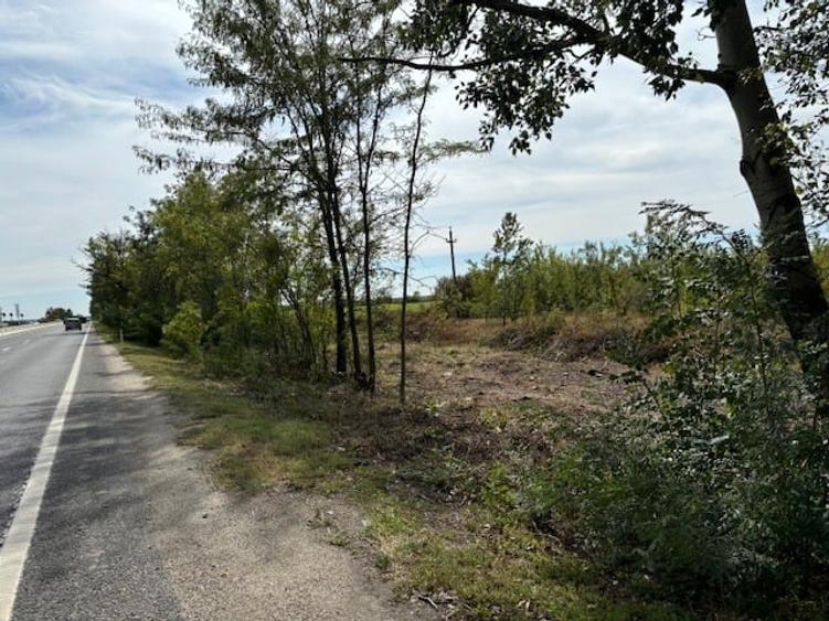 Teren de vanzare -32.130mp cu deschidere 105m la DN1, Ciolpani, cu PUZ. - 4