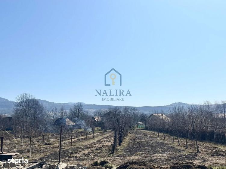 Casa de vanzare Surdesti cu teren intravilan 5000mp - 6