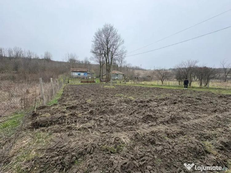 Teren 2.038 mp + Casa 50 mp de vanzare Sat Luncsoru, C - 5