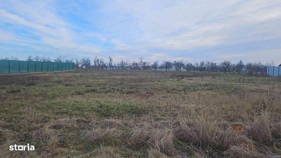 Teren intravilan situat in Albota - 2