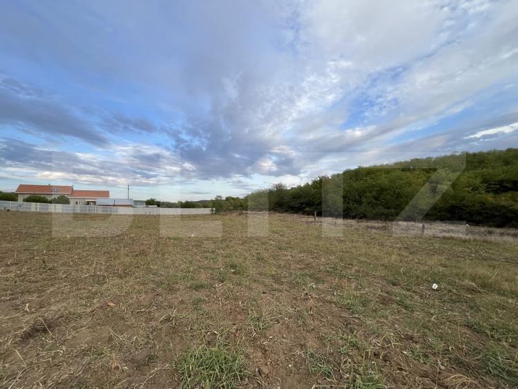 Teren in Filiasi 1000 mp / 30 ml front, toate utilitatile - 4