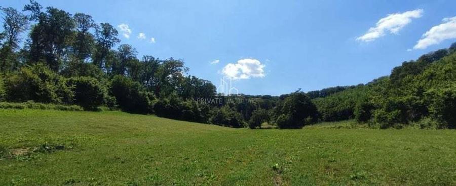 Teren de vanzare, 20.000Mp , Comuna Danes, drumul Crisului - 5