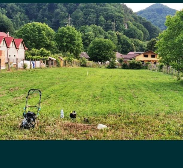 Teren de vanzare Agarcia - 9