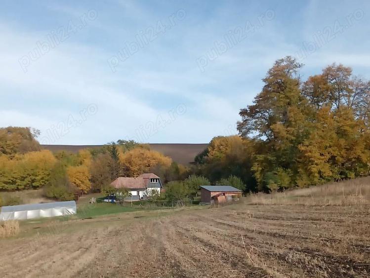 Proprietate deosebita Razoare - 2