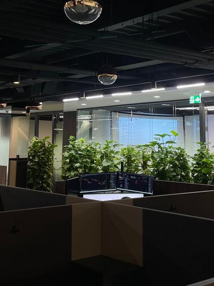 Spațiu de birou individual modern - 8