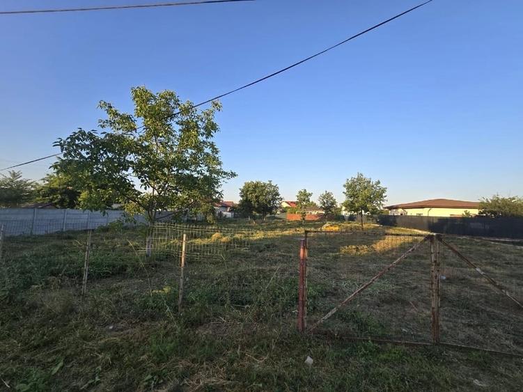 2 terenuri de 1250 mp fiecare - 3