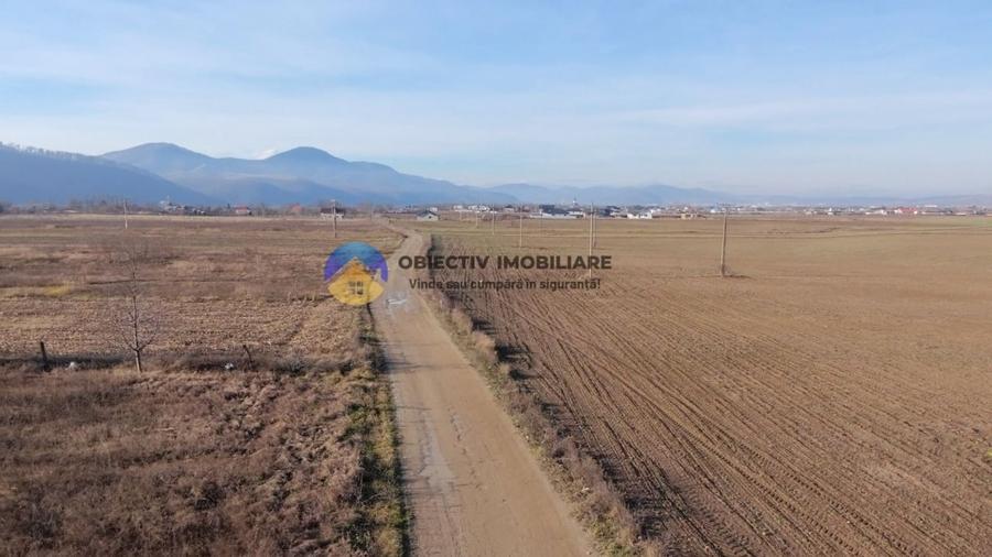 Teren investitie intravilan 3600 mp – Dumbrava Rosie - 2
