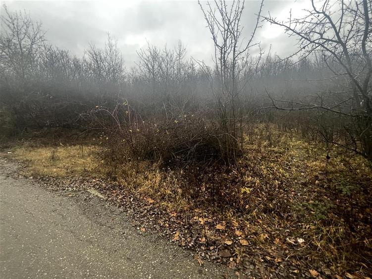 Teren intravilan 653 mp in Boldesti-Scaeni. - 11