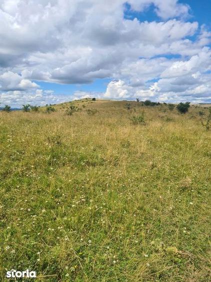 Teren extravilan 2500m2. Panorama superba.-Salicea - 2