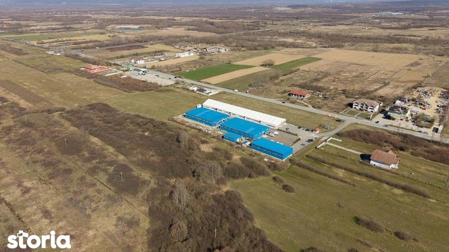 Teren extravilan de 7.000 mp langa Paltini? - 1