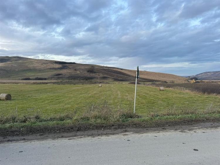 Teren Extravilan I 6000 Mp I Acces la drum | Cojocna - 7