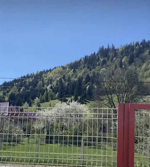 Inchiriez teren spatiu pamant1000 m2 Ceahlau Durau camping cort rulota - 3