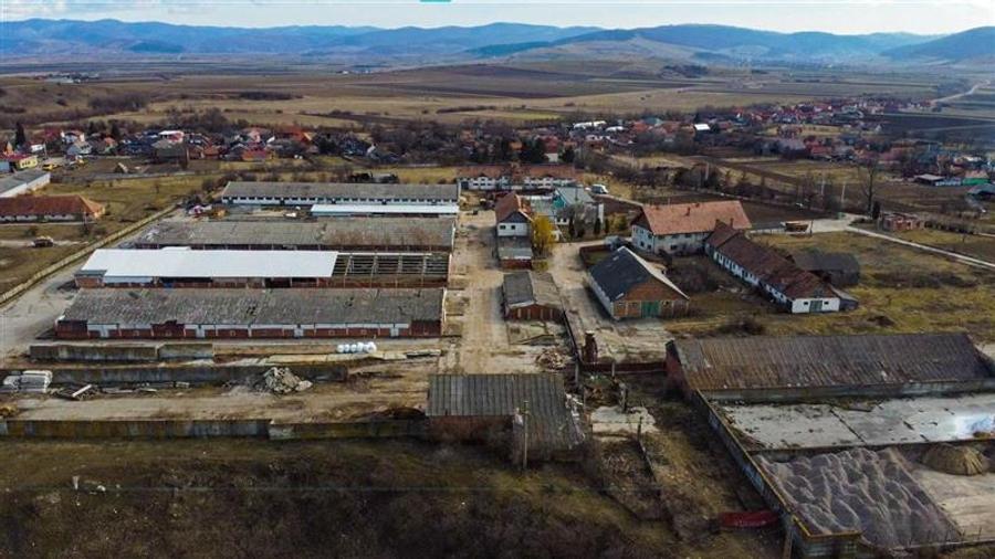 Ansamblu agrozootehnic cu renume,dotat +valoare exceptionala+potential versatil, - 39