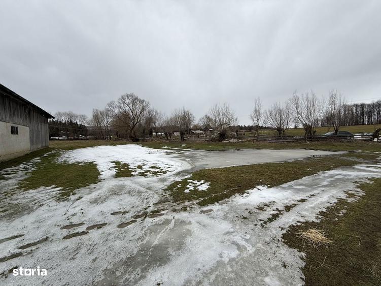 Teren extravilan | Horodnic De Sus | 3600MP - 1