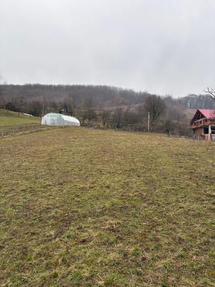 Vand teren intravilan Suncuius - 4