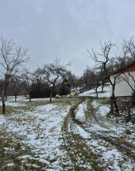 Coas, cabana, 28 ari teren - 3