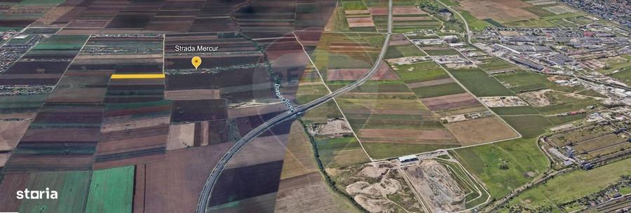 Teren Investitie 6300mp Sacele - 10m de Utilitati in Raza Soarelui - 8