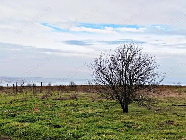 Teren intravilan - 630 mp cu deschidere de 20 ml - 7