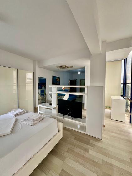 Apartament 1 camera Copou-Universitate - 8