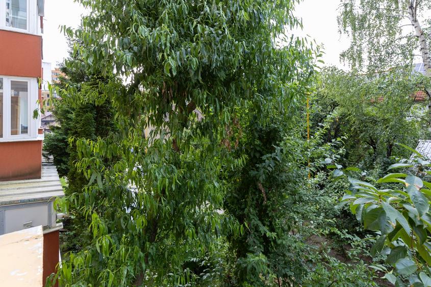 Apartament 2 camere, etaj 1/4, Florilor, zona de case - 9