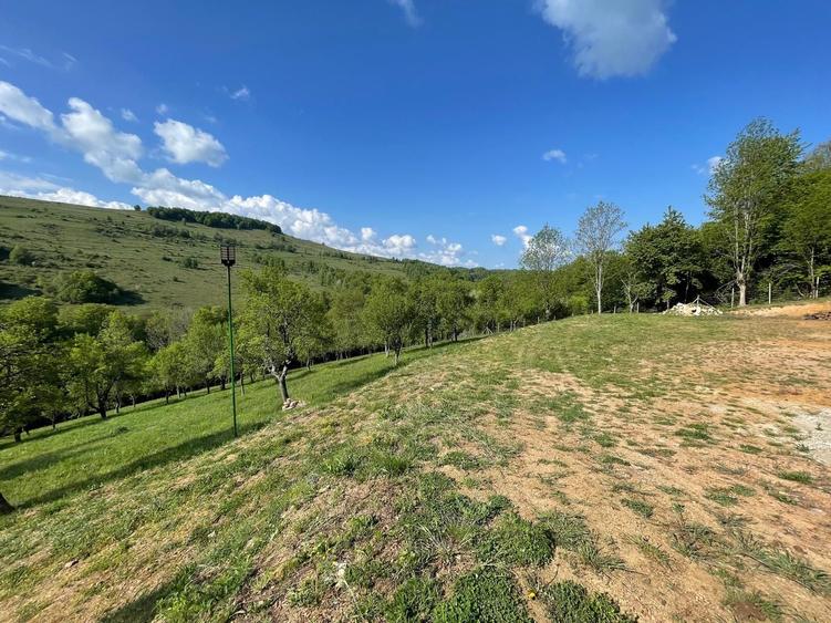 Casa, livada si padure in com Batrana judetul Hunedoara tinutul padurenilor. - 3