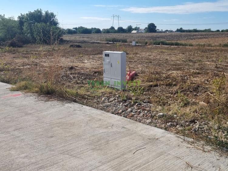 Proprietar ofer spre vanzare loturi teren - DN 4 Popesti-Frumusani - 8