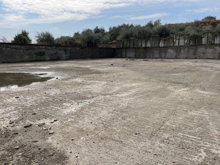 Ovidiu 6 ha teren intravilan construibil îngrădit și platforma betonata. - 14