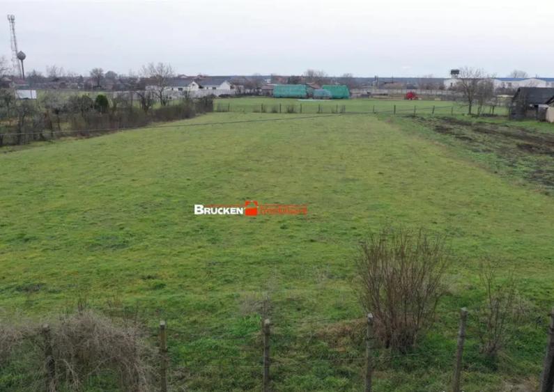 Teren intravilan de 2.623 mp in Les la 20 min de Oradea - 1